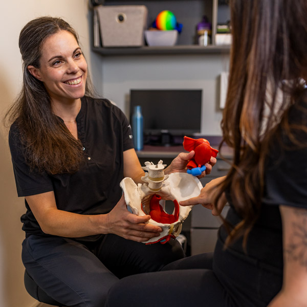 employee showing client skeletal spine